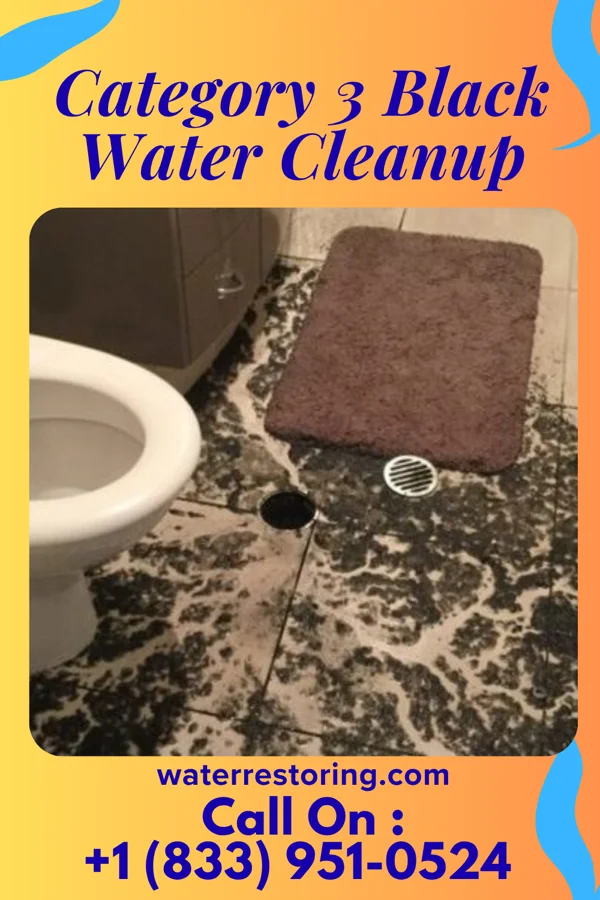 Category 3 Black Water Cleanup in Mount Gilead, NC