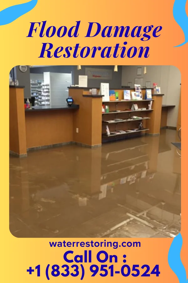 Flood Damage Restoration in Mount Gilead, NC