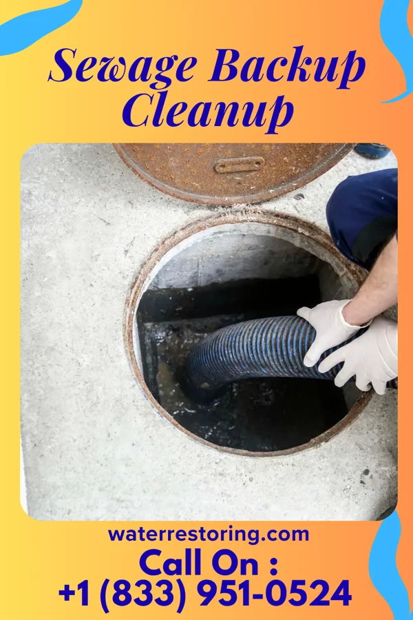 Sewage Backup Cleanup in Mount Gilead, NC