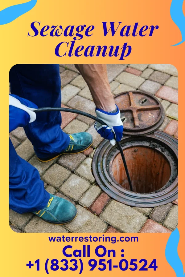 Sewage Water Cleanup in Mount Gilead, NC